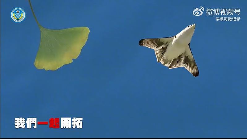 剑指台湾！东部战区发布《中国人》MV ，刘德华献唱配战机航母影片曝（视频/组图） - 8