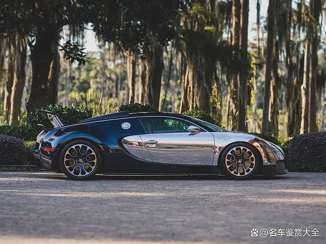 【汽车】每周超跑系列：布加迪威龙EB 16.4 Grand Sport 'Sang Bleu'（组图） - 6