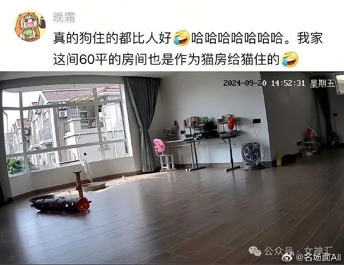 【爆笑】第一次和男朋友住酒店，他一晚没睡在看刑法书？网友：哈哈哈太野了（组图） - 28