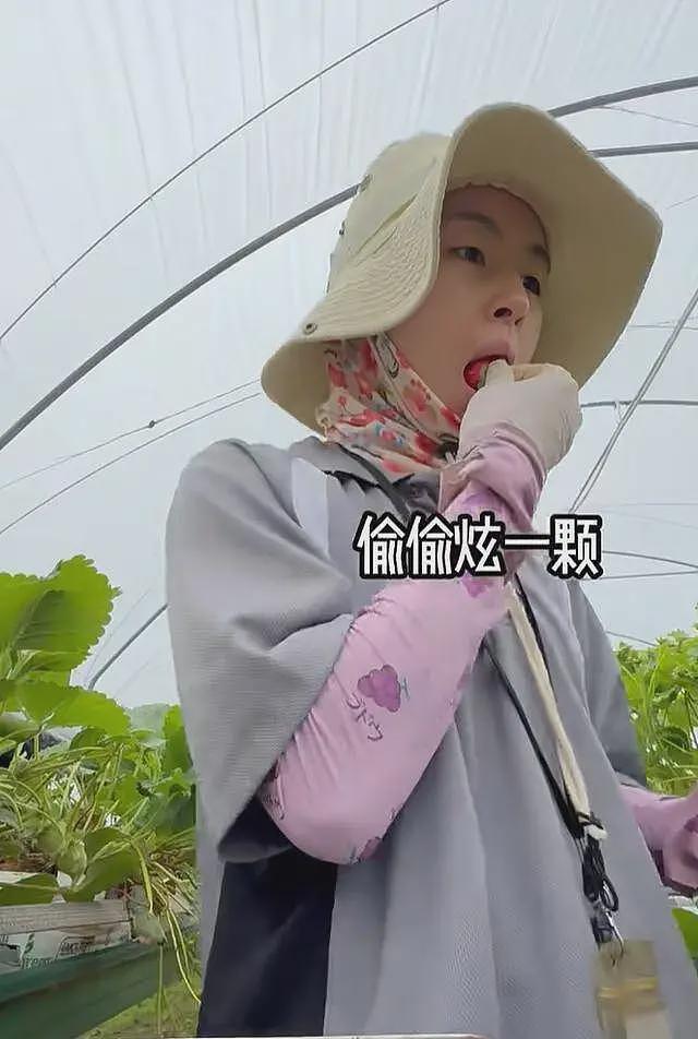 四川女孩在澳洲农场打工的真实生活：每天4点摘草莓，时薪29澳元（组图） - 9