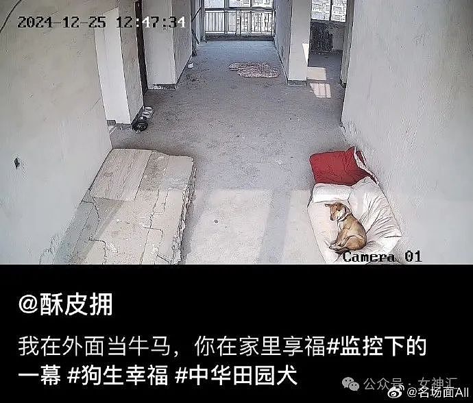 【爆笑】第一次和男朋友住酒店，他一晚没睡在看刑法书？网友：哈哈哈太野了（组图） - 25