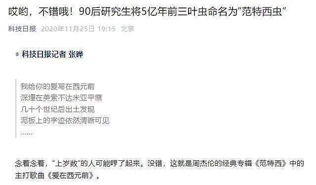 16个新种蜘蛛，都以周杰伦歌命名！科研者为44岁院长，网友：“最强歌迷”！（组图） - 4