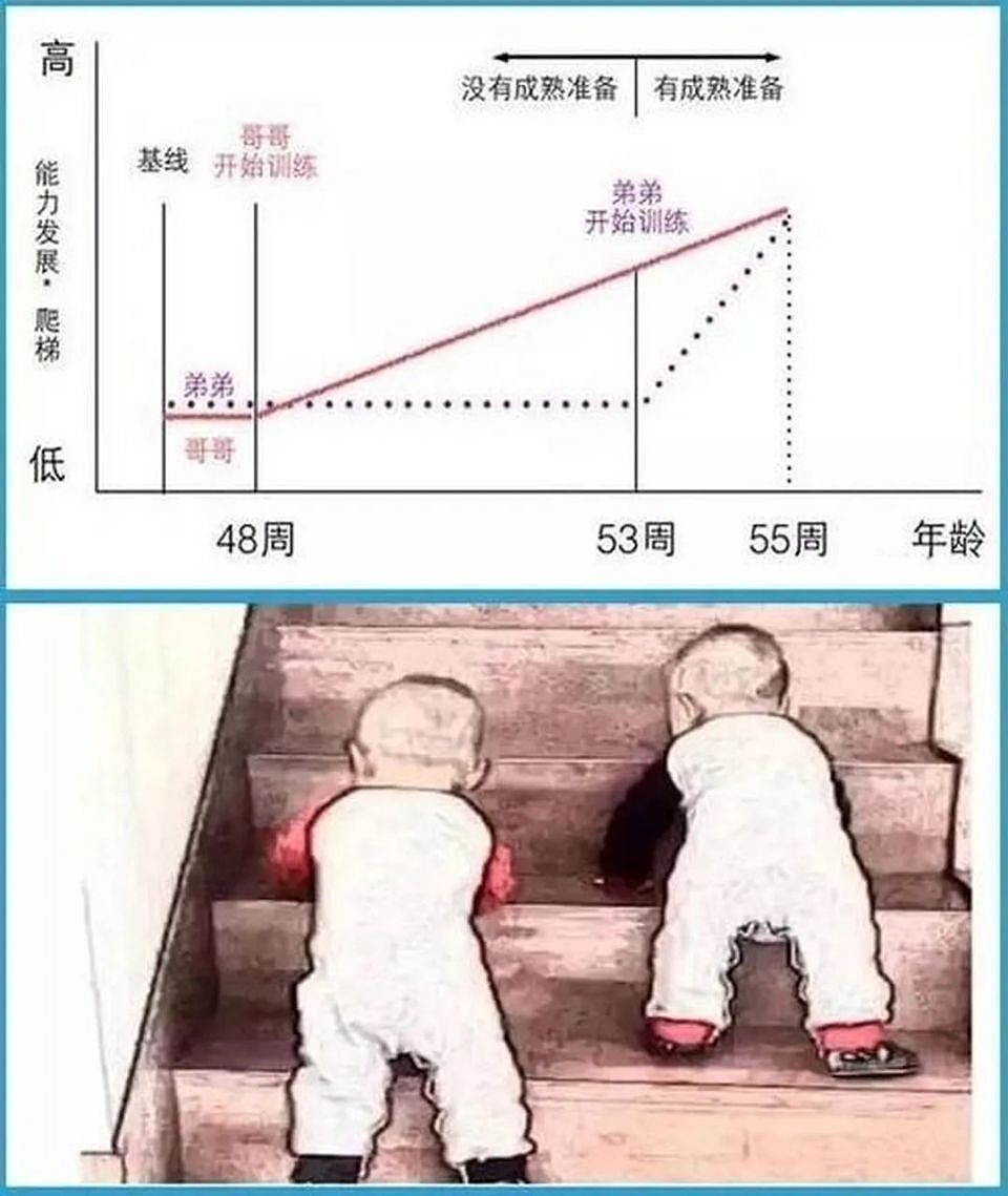 雷军千万年薪挖角的95后天才少女，我看到了普通人成名的奥秘...（组图） - 11