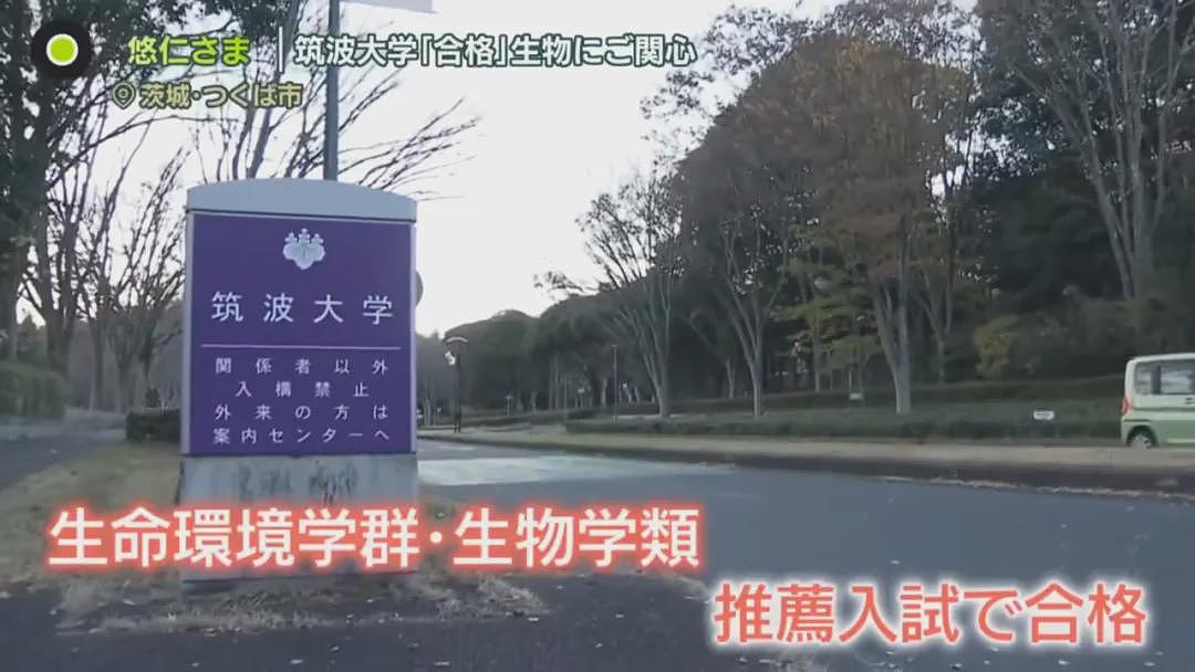 日本未来天皇新年被催婚！18岁必须广交女友！太子妃要包生男孩，避免皇室绝后！（组图） - 9