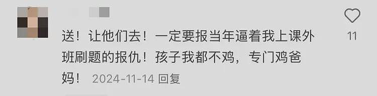 正是闯的年纪！上海阿姨56岁出国留学！这是鸡娃不成鸡自己？（组图） - 23