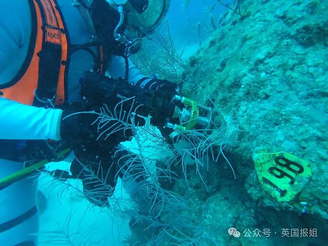 男子在海底生活14天！每天摸黑潜水出门拉屎，被深海恐怖巨鱼死盯不放？（组图） - 18