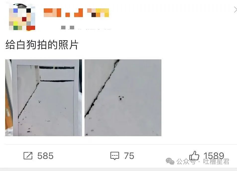 【爆笑】网友被骗全过程实录？”围观群众：啊啊啊，活动还有吗！（组图） - 65