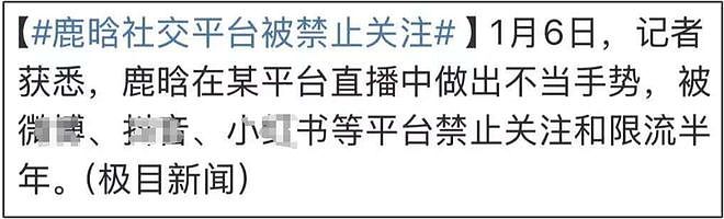 外网曝鹿晗涉毒被调查，道歉声明网友不信，关晓彤评论区控不住了（组图） - 5