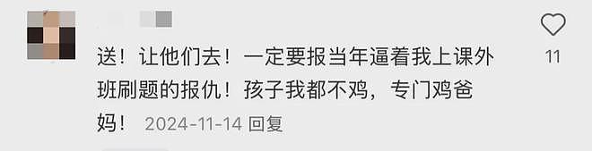 正是闯的年纪！上海阿姨56岁出国留学：这是鸡娃不成鸡自己？（组图） - 23