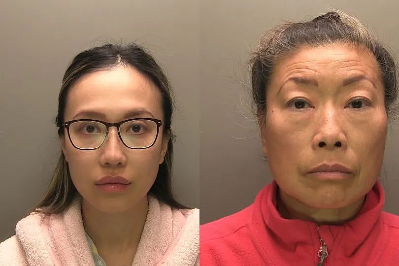 离谱！ 只因一道篱笆墙，华裔母女被判入狱五年半！ 邻居患上抑郁症（组图） - 5