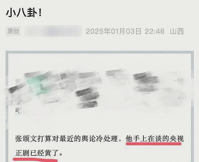 业内曝张颂文约炮，央视正剧资源也掉了，大粉回踩再爆料（组图） - 9