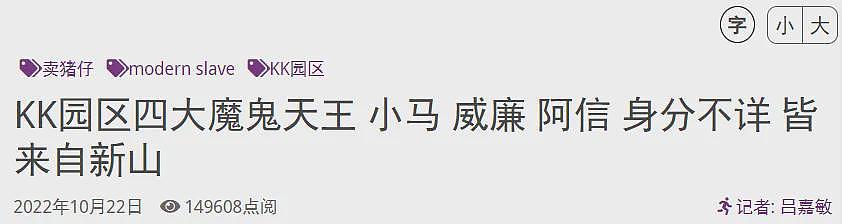 中国游客又被盯上了！被绑架、抢劫！甚至有演员在泰缅边境拍戏失联...（组图） - 14