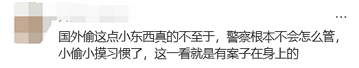 ”为了$15”华人超市5辆警车大阵仗抓捕，网友炸锅（组图） - 12