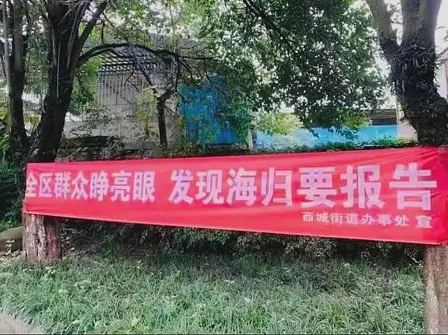 发现海归要报告？！山东一小区摸排华侨、留学生情况引热议（组图） - 1