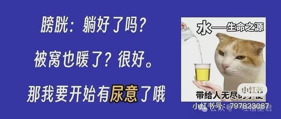 【爆笑】上班第二天发现同事是我太奶？网友：上个班真见太奶了…（组图） - 43