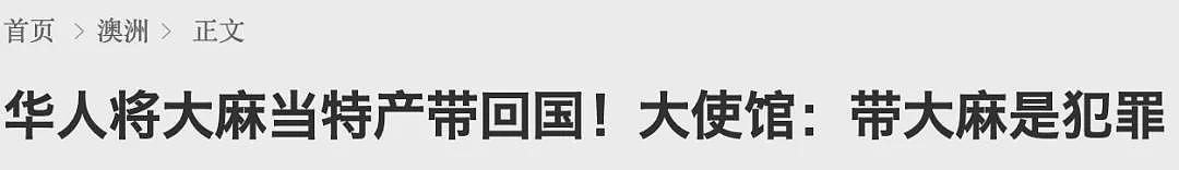 紧急！顶级营养师警告：数百万人服用的澳洲保健品别吃了，会致癌！大使馆：澳洲药房超市这个商品，别带回国...（组图） - 12