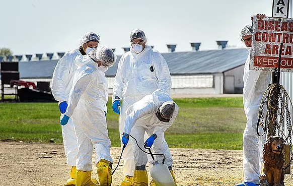 紧急！首个死亡病例！大批华人病倒！高烧狂咳黄痰！病毒体内变异（组图） - 16