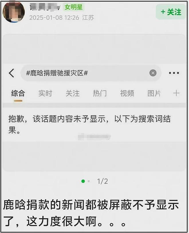 鹿晗被封风波又有新瓜！捐款不予显示直播不能提，网友直言事不小（组图） - 10