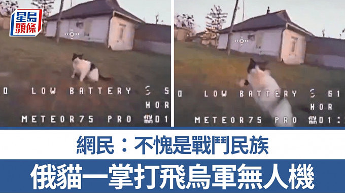 俄罗斯猫一掌打飞乌无人机画面曝！网民：战斗民族养战斗猫（视频/组图） - 1