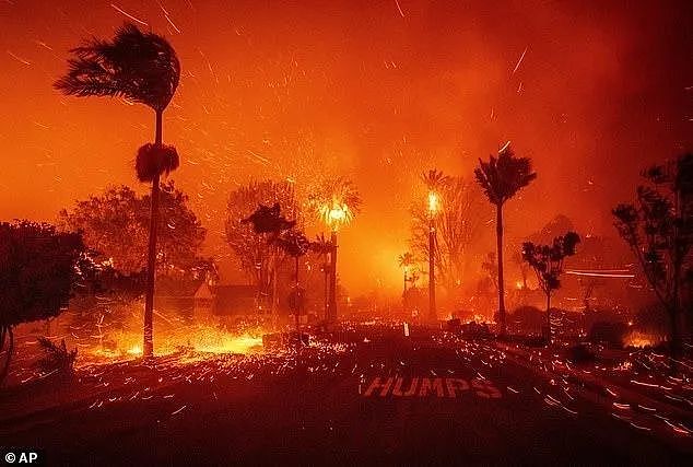 洛杉矶又爆山火！富人区遭席卷，各路明星豪宅遭殃，大本家都烧没了...（组图） - 2