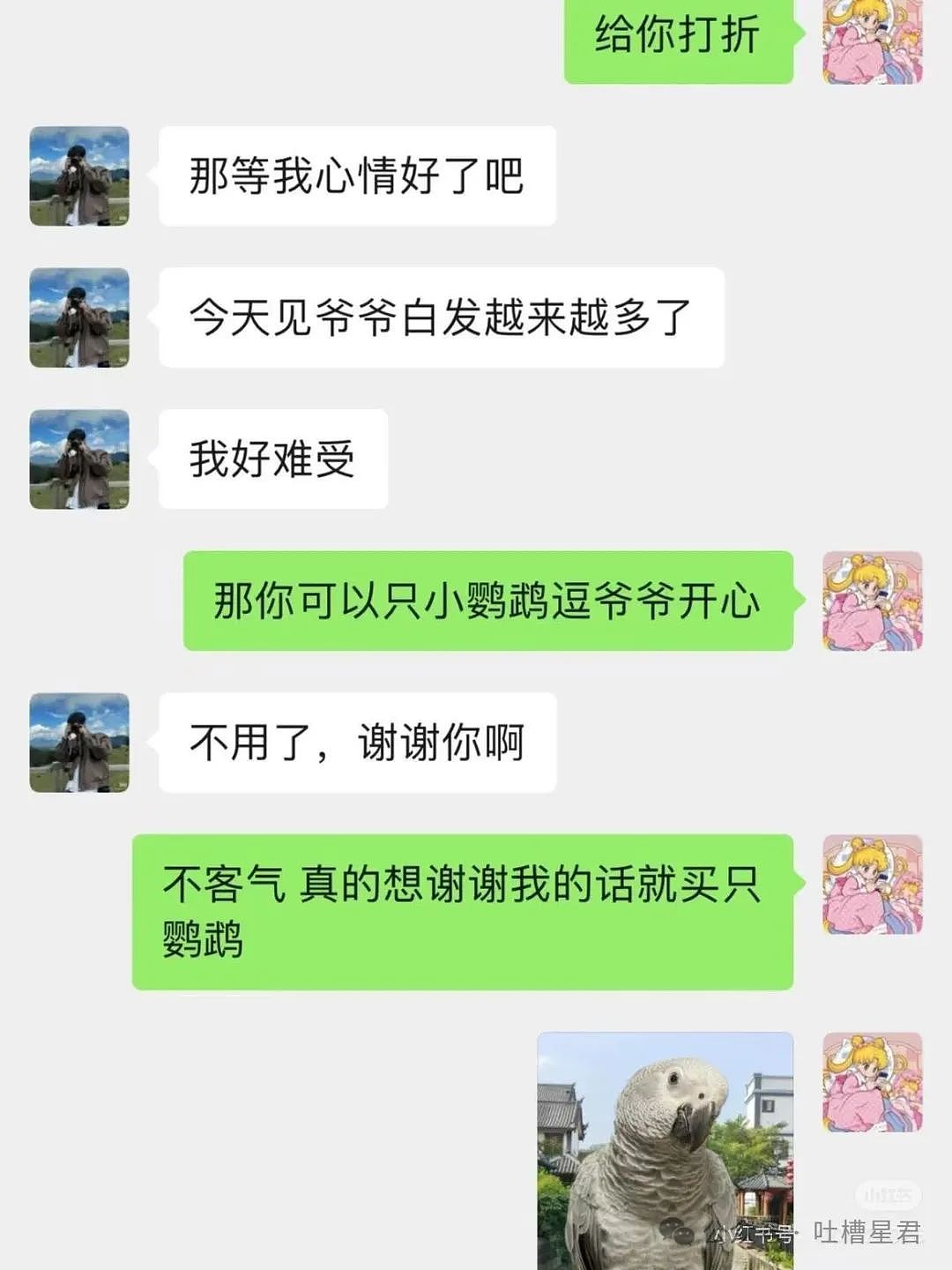 【爆笑】“茶叶哥诈骗碰上鹦鹉妹？”网友：这就是金牌销冠间的战争！（组图） - 8