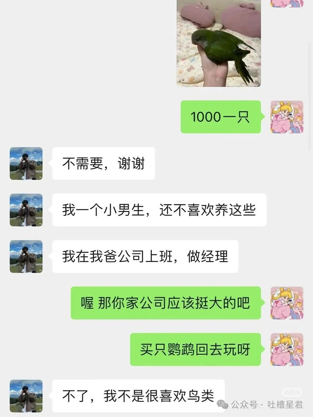 【爆笑】“茶叶哥诈骗碰上鹦鹉妹？”网友：这就是金牌销冠间的战争！（组图） - 6