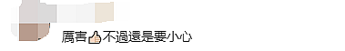 太勇了！加拿大17岁华人小哥上学途中遭抢劫愤怒反击， 劫匪哀嚎求饶！全网狂赞（组图） - 9