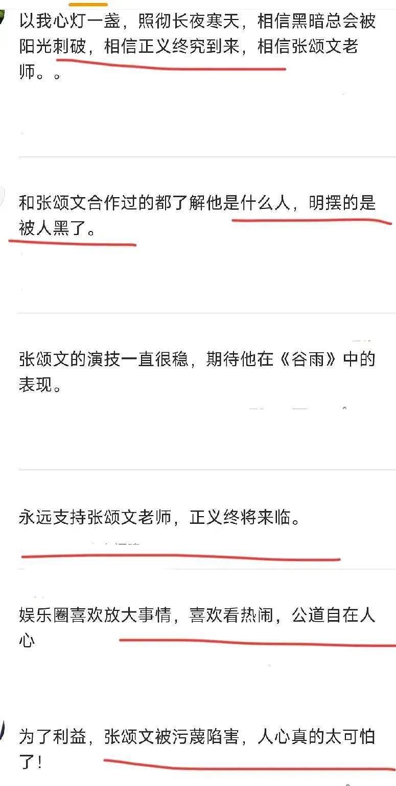 张颂文是资本博弈下的牺牲品？高群书力挺张颂文：他是一个好人（组图） - 24