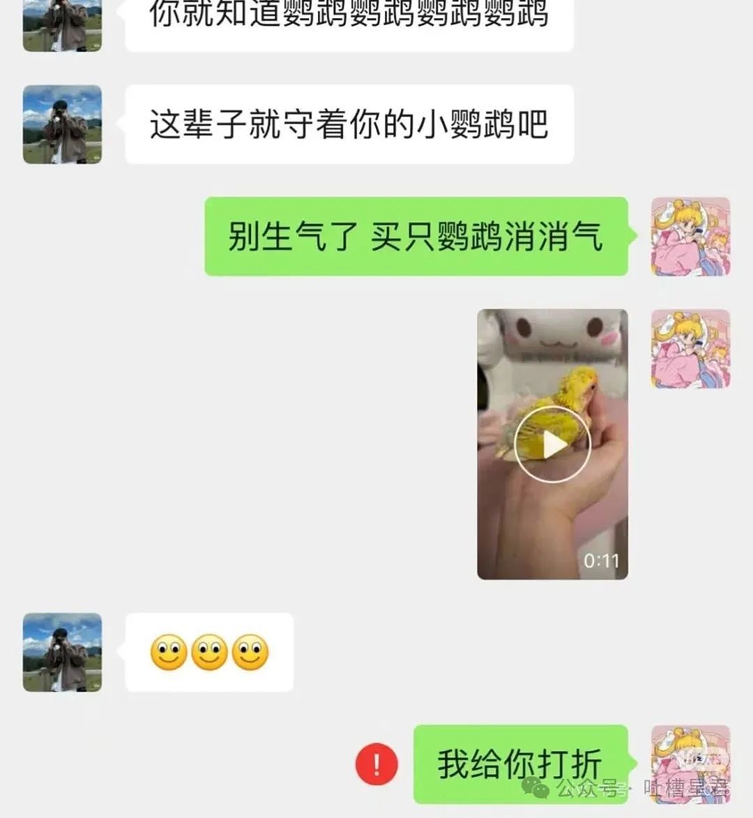 【爆笑】“茶叶哥诈骗碰上鹦鹉妹？”网友：这就是金牌销冠间的战争！（组图） - 11