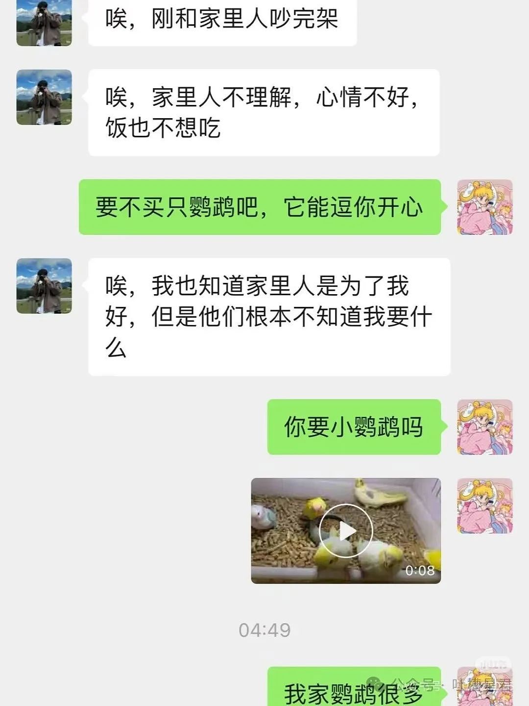 【爆笑】“茶叶哥诈骗碰上鹦鹉妹？”网友：这就是金牌销冠间的战争！（组图） - 7