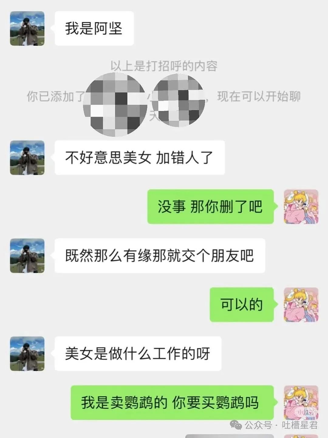 【爆笑】“茶叶哥诈骗碰上鹦鹉妹？”网友：这就是金牌销冠间的战争！（组图） - 5