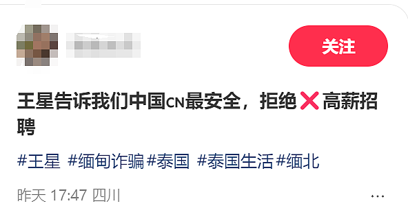 又有多名中国人在泰失联！演员王星案嫌犯被抓，涉案电诈园区现状、幕后大佬身份曝光（组图） - 14