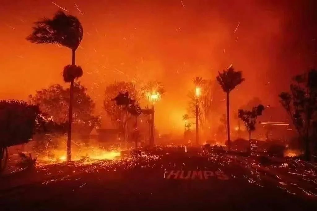 洛杉矶在燃烧！现场如地狱，明星豪宅被焚毁，保险公司却不赔了…（组图） - 1