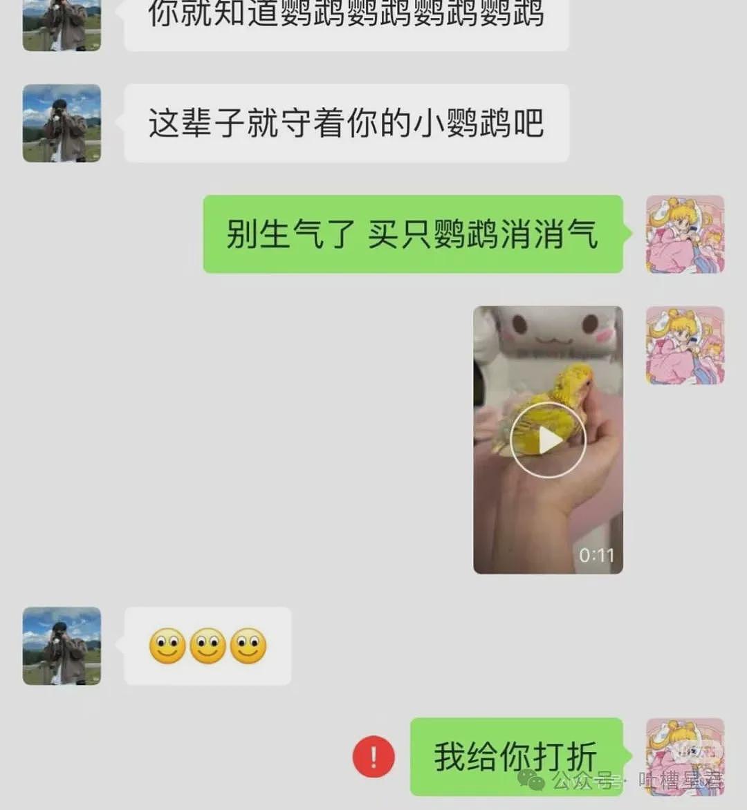 【爆笑】茶叶哥诈骗碰上鹦鹉妹？网友：这就是金牌销冠间的战争（组图） - 10