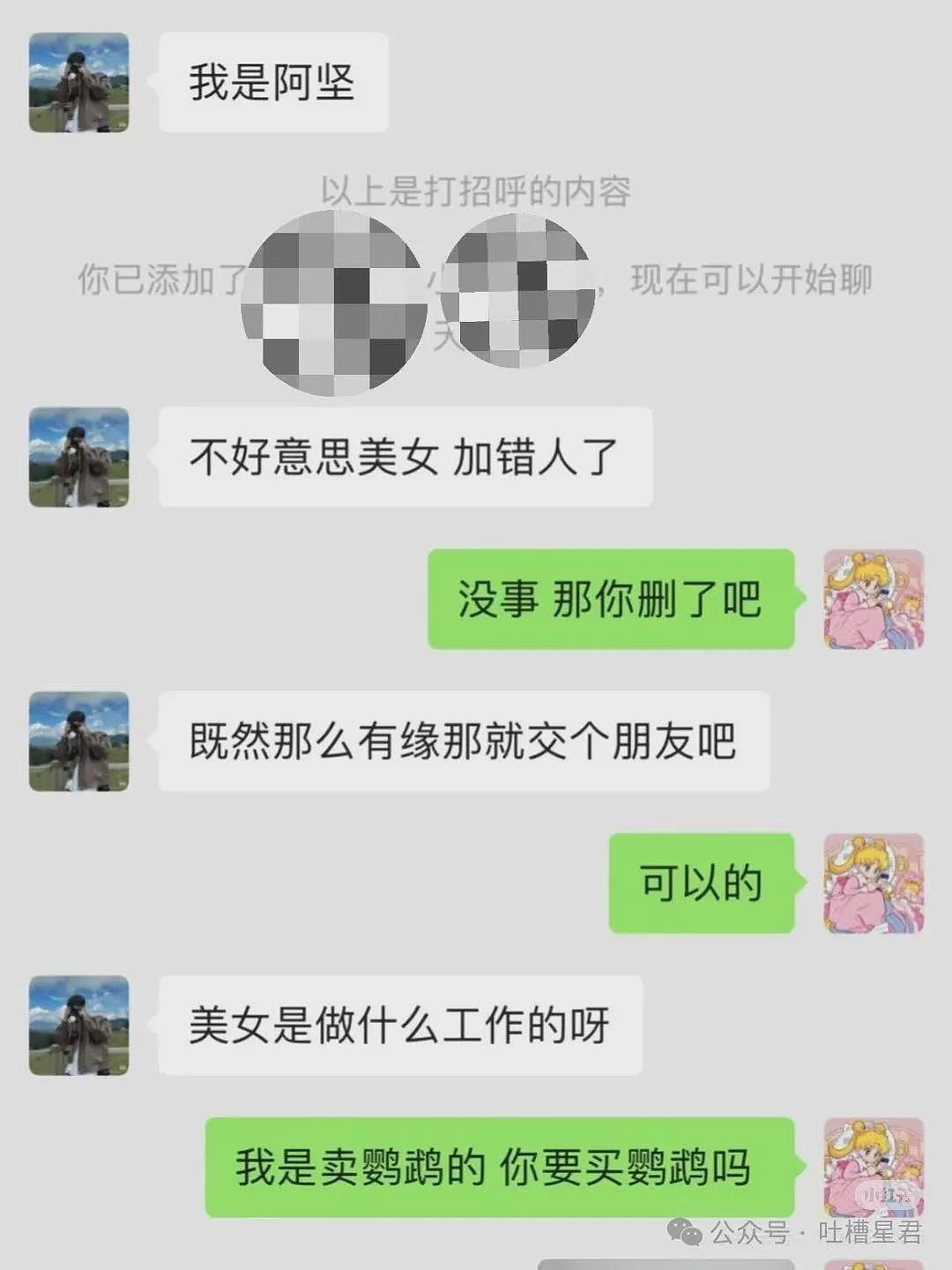 【爆笑】茶叶哥诈骗碰上鹦鹉妹？网友：这就是金牌销冠间的战争（组图） - 4