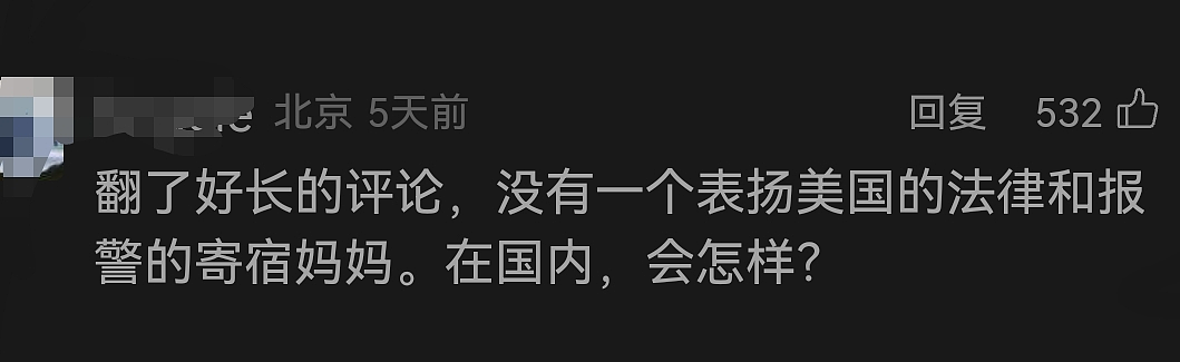 “我只欺负中国人！”留美富二代霸凌同胞，如今提前5年出狱回国，全网愤怒...（组图） - 6