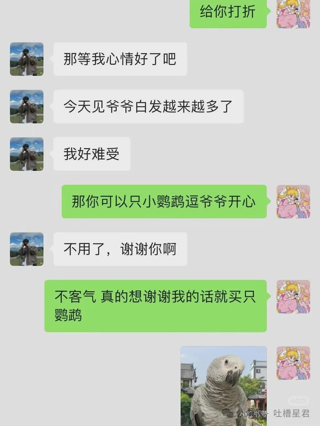 【爆笑】茶叶哥诈骗碰上鹦鹉妹？网友：这就是金牌销冠间的战争（组图） - 7