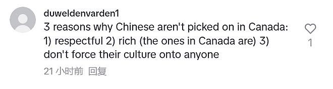 外国小哥发视频猛夸“中国人好、华人好”，指桑骂槐吐槽某国人，结果引起全网共鸣...（组图） - 28