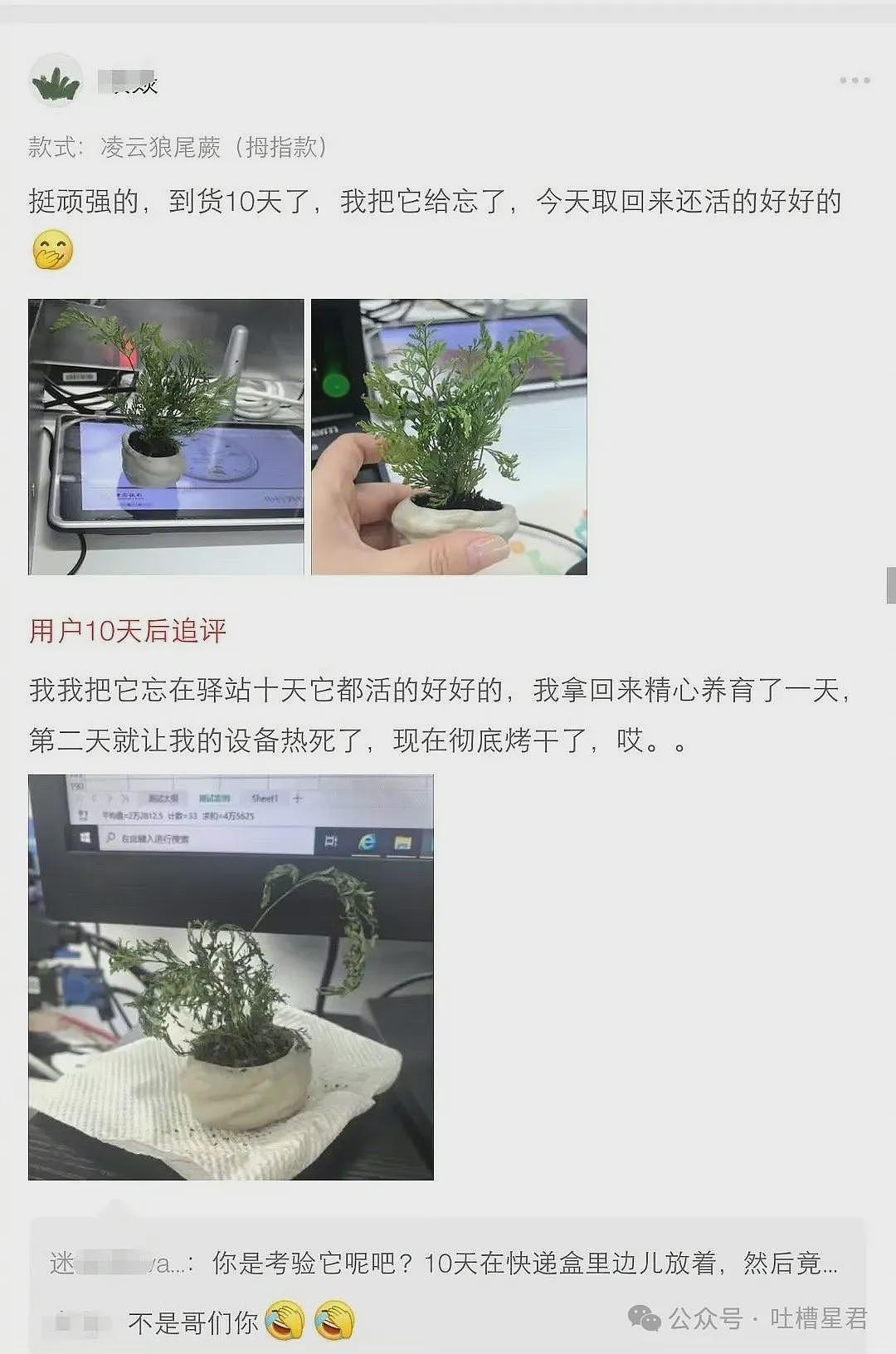 【爆笑】茶叶哥诈骗碰上鹦鹉妹？网友：这就是金牌销冠间的战争（组图） - 66