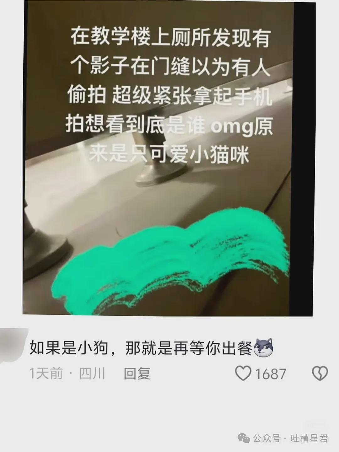 【爆笑】茶叶哥诈骗碰上鹦鹉妹？网友：这就是金牌销冠间的战争（组图） - 53