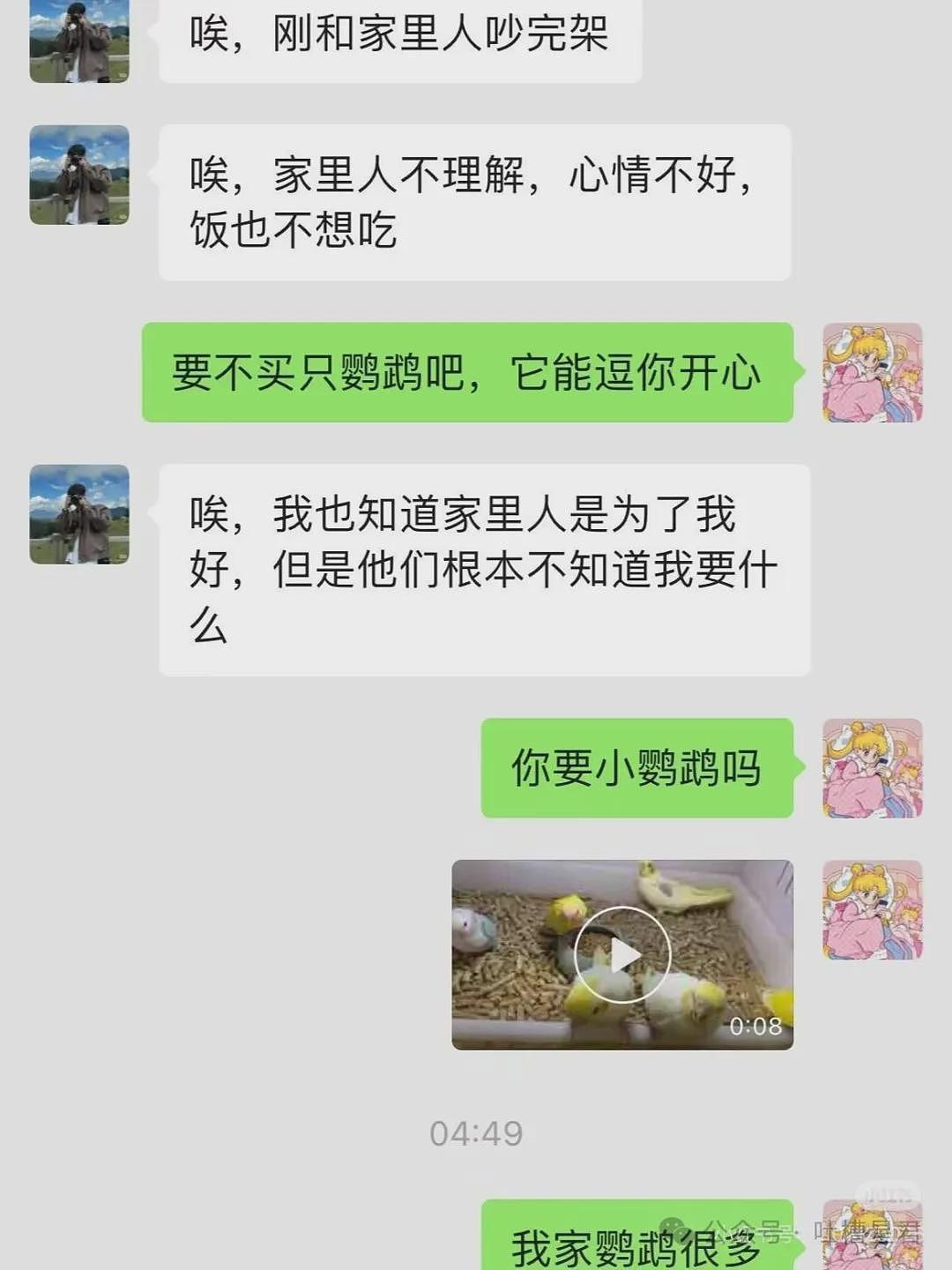 【爆笑】茶叶哥诈骗碰上鹦鹉妹？网友：这就是金牌销冠间的战争（组图） - 6