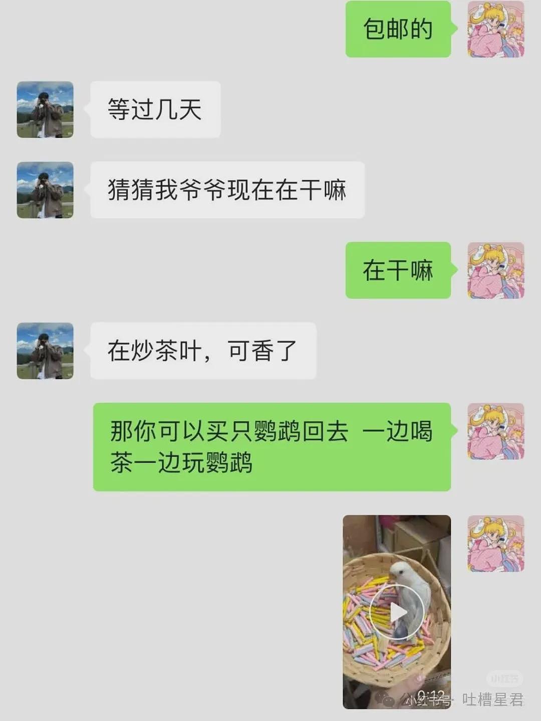 【爆笑】茶叶哥诈骗碰上鹦鹉妹？网友：这就是金牌销冠间的战争（组图） - 8