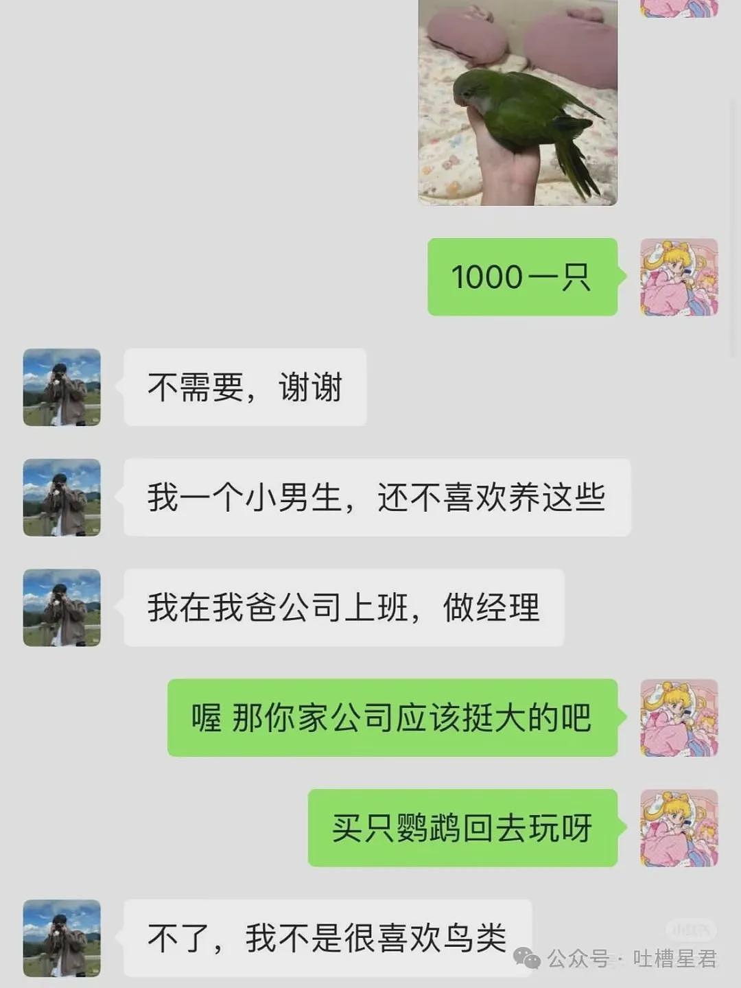 【爆笑】茶叶哥诈骗碰上鹦鹉妹？网友：这就是金牌销冠间的战争（组图） - 5