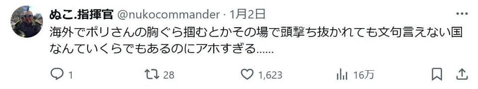 男子在泰国狂妄袭警，外网栽赃中国人！结果是日本人干的，被抓后就老实了（组图） - 24