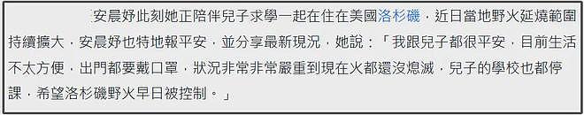 女星刘雨欣亲历洛杉矶大火，直言宛若世界末日，天空都是黄灰色（组图） - 19