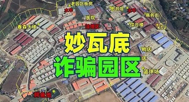 王星回国发文报平安，女友宣布将帮助更多“星星”找到回家的路（组图） - 13