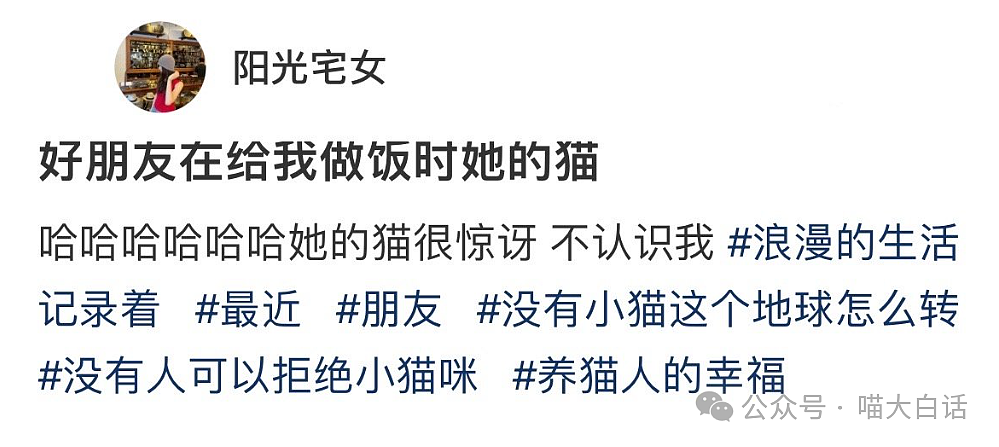 【爆笑】“上课看H文不小心点了屏幕共享？”哈哈哈哈哈连夜逃离地球！（组图） - 104