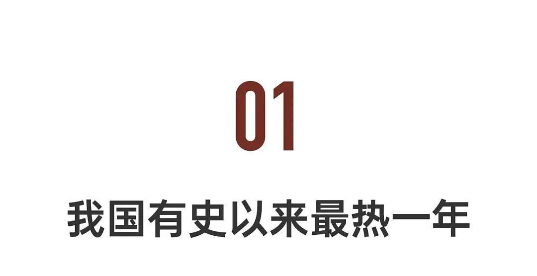 2025开年罕见暖冬、山火烧毁富人区…气象学者预言成真（组图） - 4