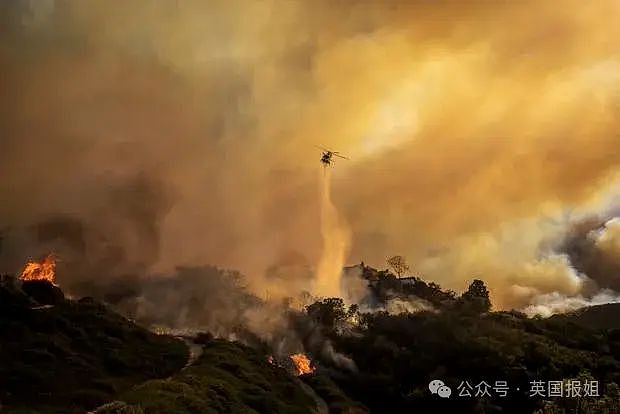 加州史上最恐怖大火魔幻后续！有人拿喷火器故意纵火，还有人深入豪宅废墟“零元购”？（组图） - 7