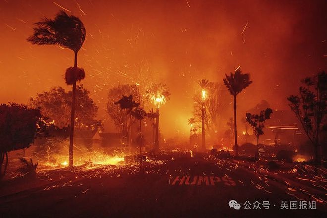 加州史上最恐怖大火魔幻后续！有人拿喷火器故意纵火，还有人深入豪宅废墟“零元购”？（组图） - 17